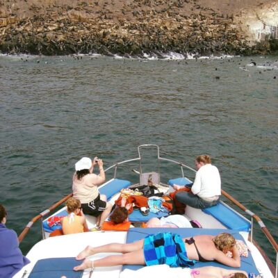 Palomino Islands Yacht Tour and swim alongside the sea lions - From Callao toward San Lorenzo and Frontón
