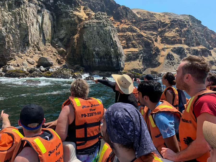 Palomino Islands Yacht Tour and swim alongside the sea lions - Should you book the Palomino Islands sea-lion yacht tour?