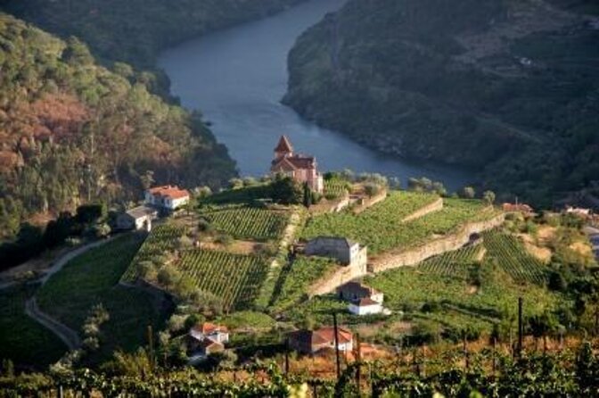 Porto: Luxury Yacht Cruise on the Douro River and Estuary Reserve - Key things to know before you go