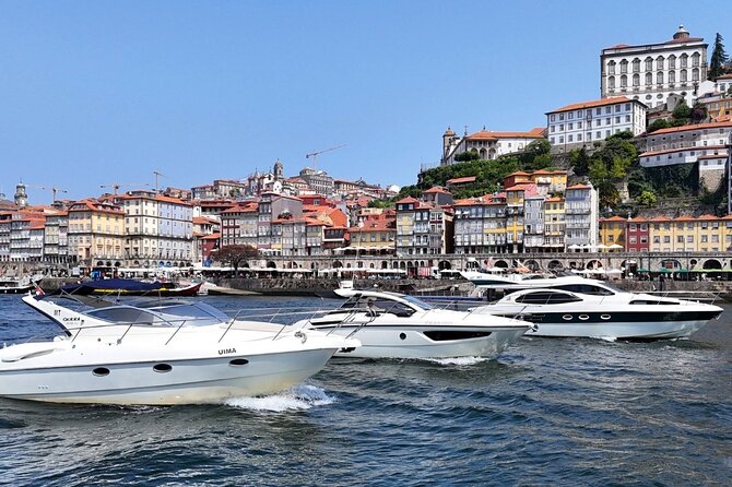 Porto: Luxury Yacht Cruise with Wine Tasting & Snacks - Price and Value: What You Get for $66.54