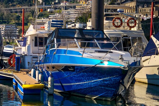 Porto: Private Yacht Cruise with Local Wine, Snacks and 6 Bridges - The Douro River view: Porto’s best angle without the steep parts