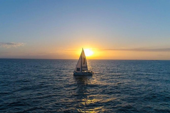 Premium Yacht Private Charter - Entering Puerto Colón: your 3-hour private yacht reality check