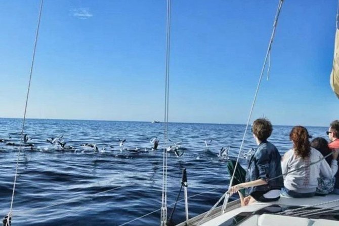 Premium Yacht Private Charter - On-board comfort: snacks, drinks, and the little things that make 3 hours feel longer