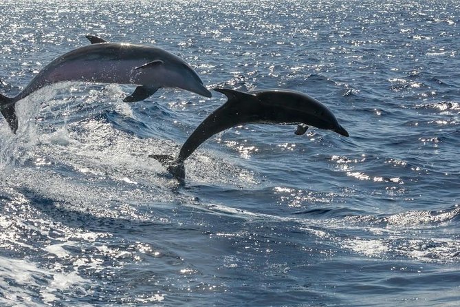 Premium Yacht Private Charter - Who should book this private yacht charter in Tenerife