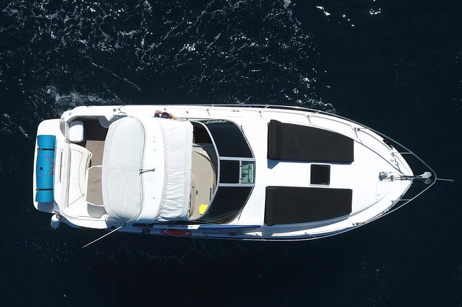 Private 3hr Yacht Cruise in Cabo San Lucas all included - The Cabo-to-San José Corridor: Where the Captain Reads the Water