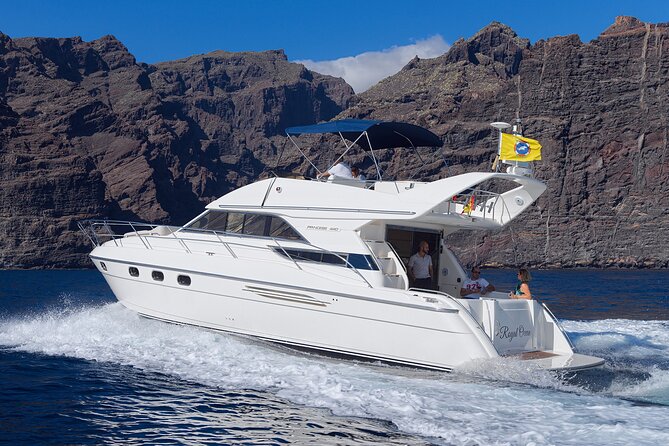 Private Boat Tour on Royal Ocean Yacht, Tenerife - Price and logistics: is $900 per group good value?