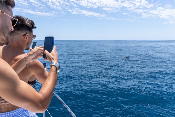 Private Coastline and Dolphins Yacht Cruise from Albufeira - A private 3-hour yacht cruise from Marina de Albufeira