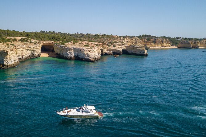 Private Coastline and Dolphins Yacht Cruise from Albufeira - Dolphins: what you can realistically hope for