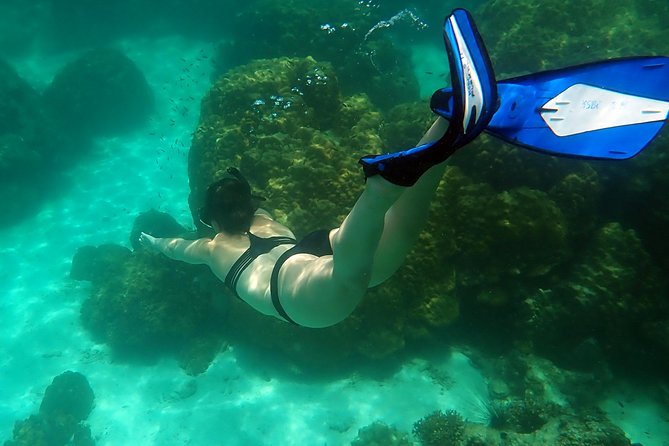Private Full-Day Blue Dragon Yacht to Angthong National Marine Park - Ko Wao Yai snorkeling: the reef stop that drives the whole day
