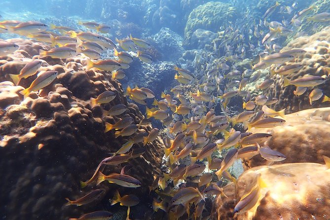 Private Full-Day Red Dragon Yacht to Angthong National Marine Park - Limestone cruising, buffet lunch, and passing the quieter islands