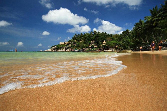 Private Half-Day Red Dragon Yacht for Snorkeling Koh Tan & Visit Pig Island - Key Things You’ll Care About