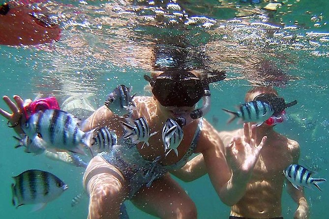 Private Half-Day Red Dragon Yacht for Snorkeling Koh Tan & Visit Pig Island - Koh Tan Snorkeling: Calm Reef Time With Real Options