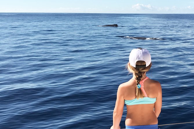 Private Snorkel Trip from Oahu on a Yacht - A Private Snorkel Yacht on Oahu: What You’re Actually Paying For