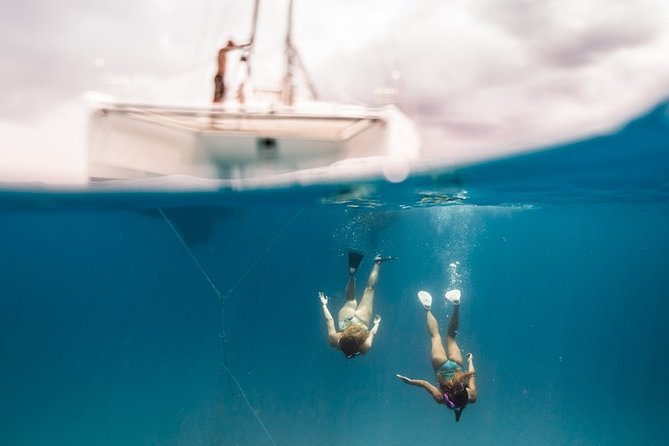 Private Snorkel Trip from Oahu on a Yacht - Lunch and the Hosted Bar: The Part That Makes It Feel Like a Real Charter