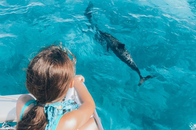 Private Snorkel Trip from Oahu on a Yacht - Price and Value: When a $2,041 Charter Actually Makes Sense