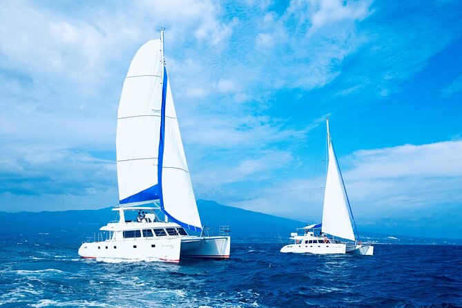 Private Tour in South Jeju including Yacht Cruise - Key highlights you’ll feel right away