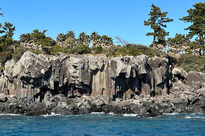 Private Tour in South Jeju including Yacht Cruise - Door-to-door pickup and an 8-hour game plan