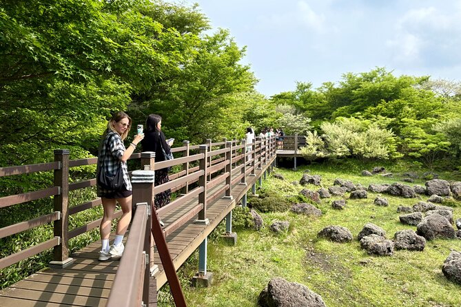 Private Tour in South Jeju including Yacht Cruise - O’Sulloc Tea Museum and Innisfree Jeju House: a sensory reset