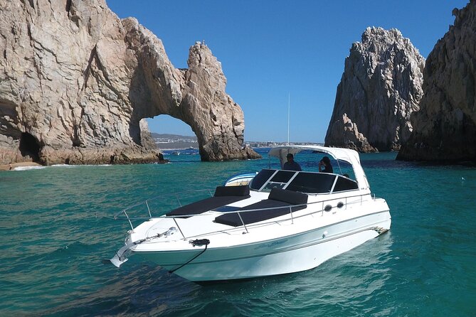 Private Whale Watching on Luxury Yacht in Cabo San Lucas - Stop 1: Cabo San Lucas Beach—Sunlight, Wildlife, and Easy First Views