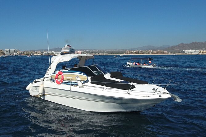 Private Whale Watching on Luxury Yacht in Cabo San Lucas - What If the Whales Aren’t Everywhere Today?