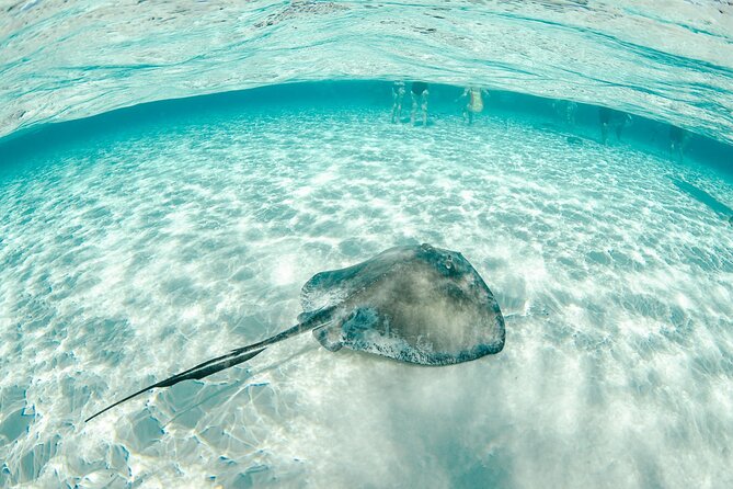 Private Yacht 48 ft Sting Ray City, Snorkel & Starfish Beach - Food, Drinks, and On-Board Comfort That Make the Price Easier to Justify