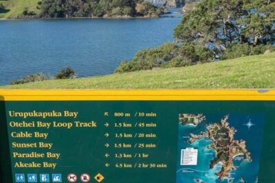 Private Yacht Charter and Island Excursions in the Bay of Islands - Choosing the pace: sailing routes, quieter anchorages, and predator-free trails