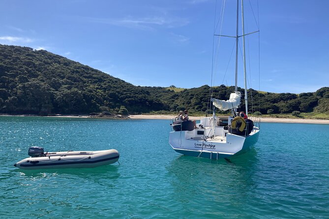 Private Yacht Charter and Island Excursions in the Bay of Islands - Food onboard: what lunch and drinks add to the day