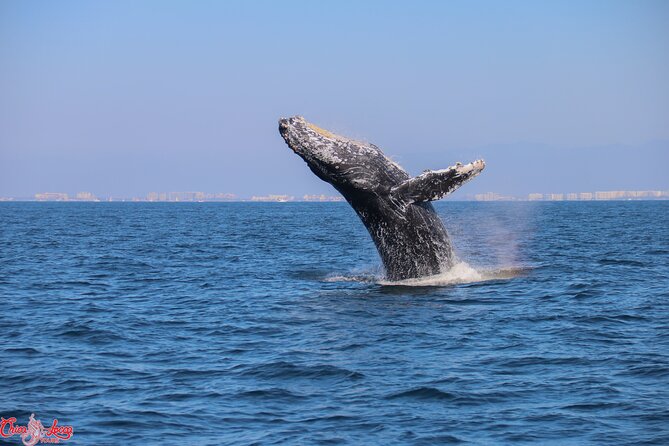 Private Yacht Charter on ChicaFun 1 Waterslides all inclusive - Los Arcos National Park: Caves, Giant Arches, and Snorkeling Worth the Effort
