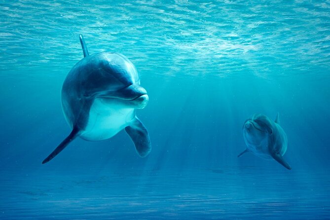 Private Yacht Cruise to Dolphin House with Lunch : Hurghada - Onboard comfort: lunch and small details that save your day
