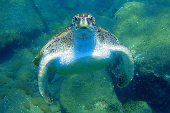 Private Yacht Excursion from Puerto Colon 3 hours - The swim and snorkel stop: when conditions decide your plan