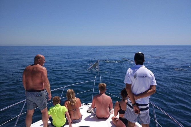 Private Yacht Hire in The Algarve - Majestic - Stops, swims, and watersports: where your day turns from nice to memorable