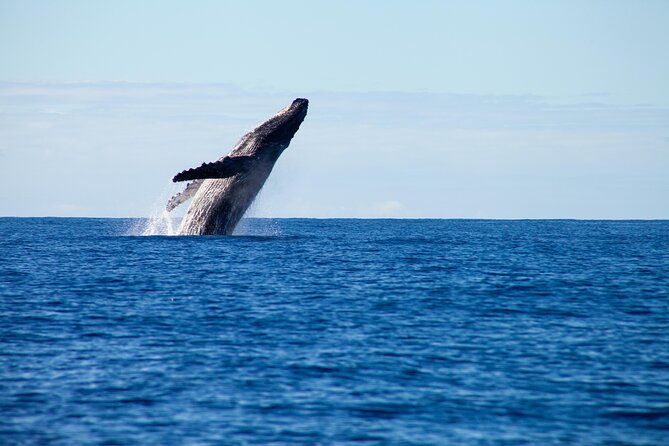 Private Yacht, Sightseeing, Snorkeling and Private beaches - Private Yacht Views in Puerto Vallarta: The Real Value