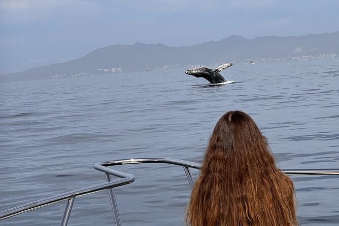 Private Yacht, Sightseeing, Snorkeling and Private beaches - Sailing the South of Bahía de Banderas: Views You Can’t Replicate