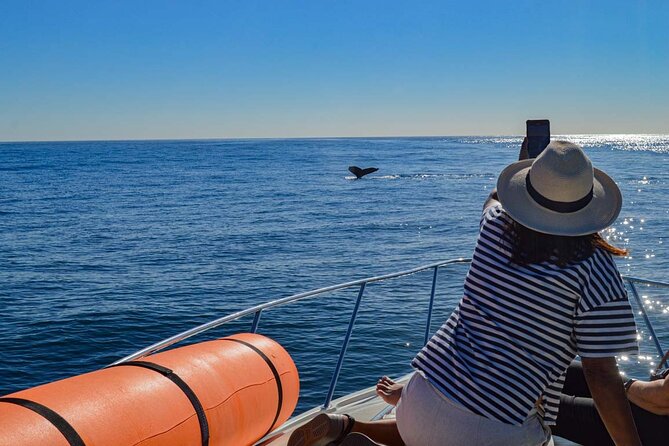 Private Yacht, Snorkeling or Sunset in Cabo San Lucas - Hotel Pickup to the Dock: Smooth Start, Real-World Timing