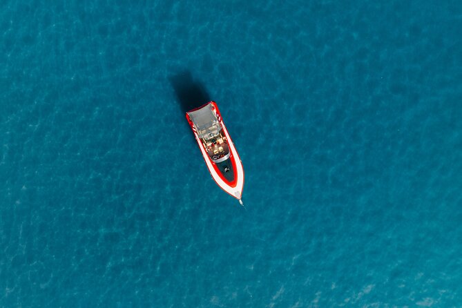Private Yacht Tour Marbella 4h - Dolphins from the front deck: why this can feel unreal