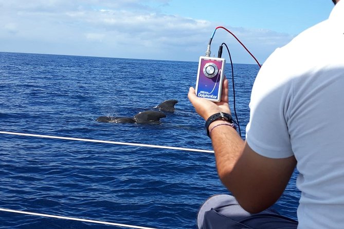 Private Yacht Tour With Whale and Dolphin Watching 33 Foot Boat - Snacks, Unlimited Drinks, and the 18+ Reality