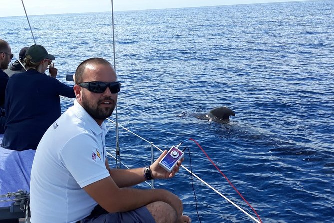 Private Yacht Tour With Whale and Dolphin Watching 33 Foot Boat - Private Group Size: How Up to 9 People Changes the Day