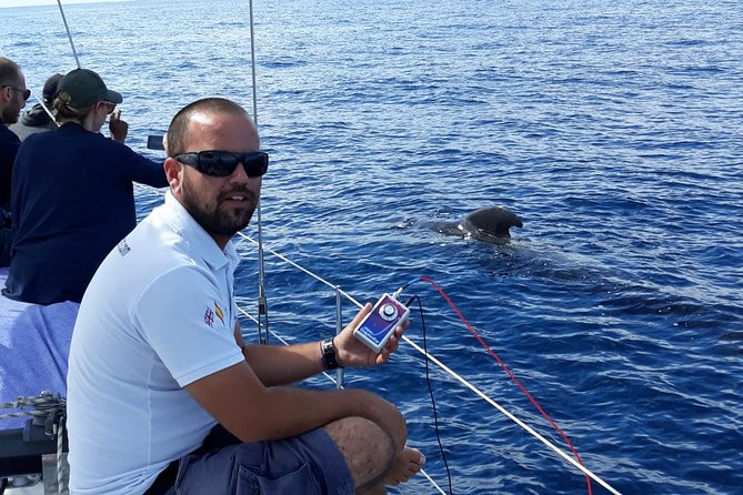 Private Yacht Tour With Whale and Dolphin Watching 42 Foot Boat - Sonar listening: a different way to look for marine life