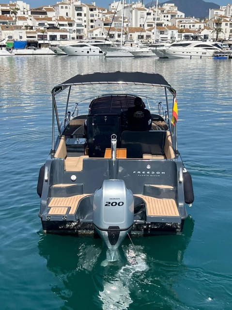 Puerto Banus: Boat Charter Moonday Yacht - Dolphins: How the Charter Really Works in the Real World