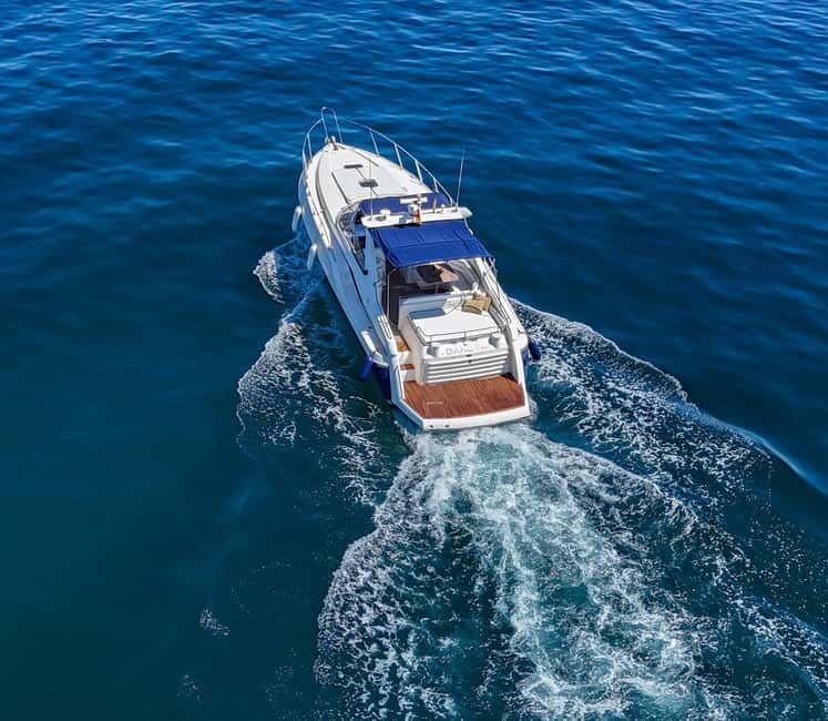 Puerto Banus: Private Luxury Yacht Charter - Dolphin and Whale Watching Stop: How the 30 Minutes Really Feels