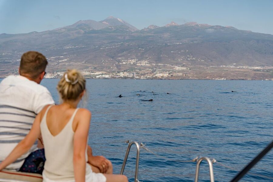 Puerto Colon: Whale and Dolphin Watching Yacht Trip - FAQ