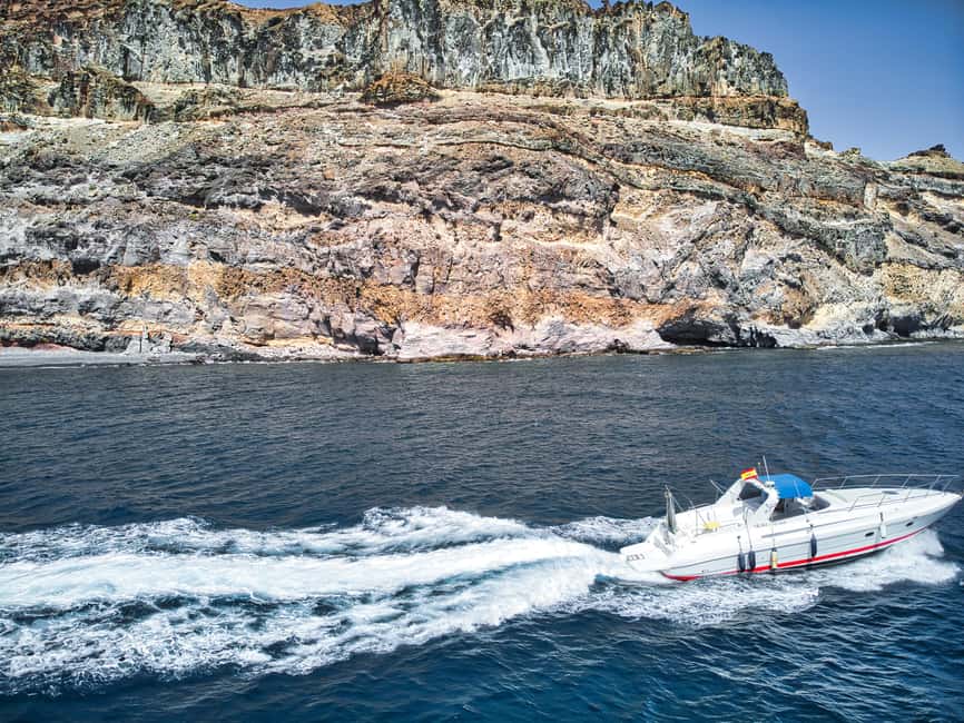 Puerto de Mogán: Private yacht up to 10 persons - Wildlife spotting and the human touch: why the crew matters