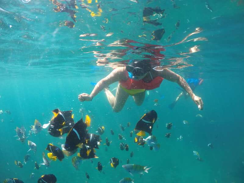 Puerto Vallarta: Luxury Yacht Tour with Lunch and Open Bar - Key highlights to know before you go