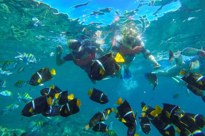 Puerto Vallarta: Private Yelapa Beach & Snorkel Tour on a Yacht - Yelapa Beach Time: Lunch at Your Pace and Optional Waterfall Adventure