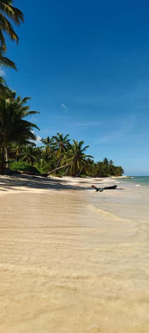 Punta Cana : Private yacht Snorkeling, Lagoon and Wild Beach - From Jellyfish Beach to Marina Caribe: where your 3-hour day starts