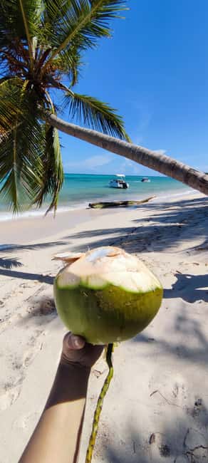 Punta Cana : Private yacht Snorkeling, Lagoon and Wild Beach - Dolphin watching as part of the cruise: fun, but treat it like a bonus