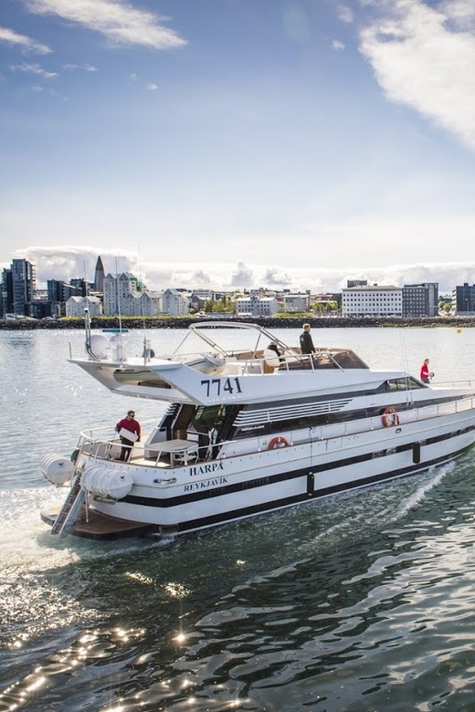 Reykjavík: New Year's Eve Northern Lights Yacht Cruise - Practical Tips to Make Your Night Easier