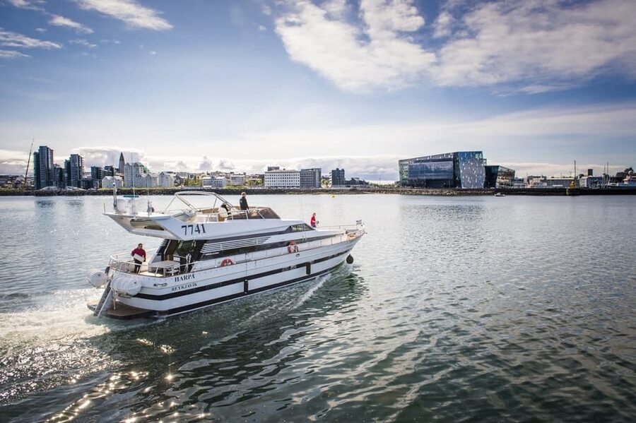 Reykjavík: New Year's Eve Northern Lights Yacht Cruise - How the 1.5-Hour Night Plan Really Feels