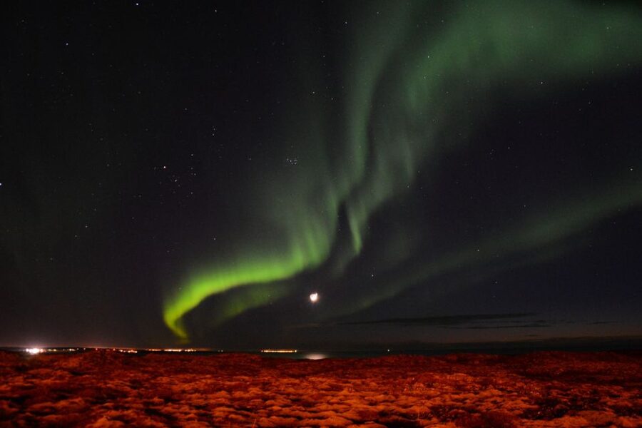 Reykjavik: Northern Lights Motor Yacht Cruise - Price and value: is $99 worth it for a 2.5-hour cruise?