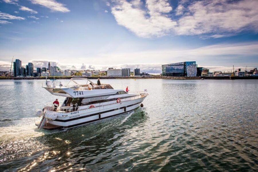 Reykjavik: Northern Lights Motor Yacht Cruise - Should you book this Northern Lights cruise?